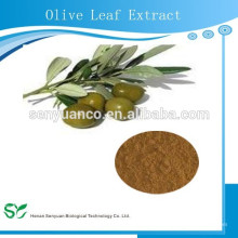 Extracto natural de hoja de olivo orgánico a granel